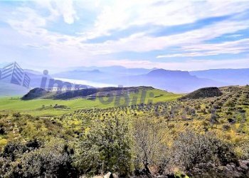 Vista lago - Negozio Scorrimento Veloce Palermo-Sciacca, Poggioreale - foto 31