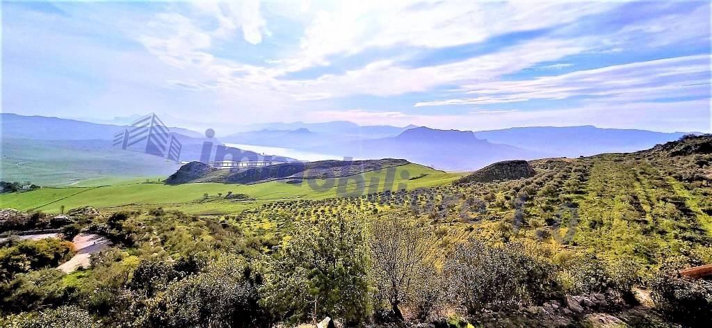 gnbzgn xg - Terreno agricolo SP44, Roccamena - foto 2