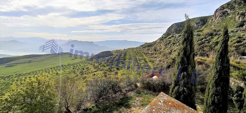 hhth - Terreno agricolo SP44, Roccamena - foto 3