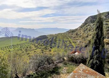 hhth - Terreno agricolo SP44, Roccamena - foto 3