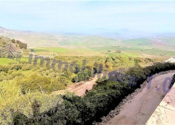 gnfgngn - Terreno agricolo SP44, Roccamena - foto 13