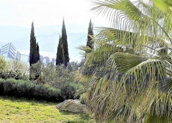 Giardino - Terreno agricolo SP44, Roccamena - foto 26