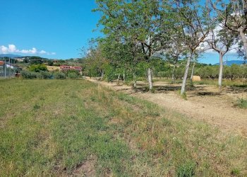 dettagli - Terreno edificabile Alanno - foto 4