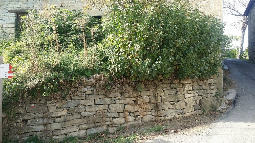 Casa indipendente Vetto - foto 3