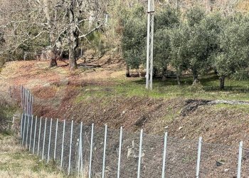 Rustico Via Decime, Santopadre - foto 6