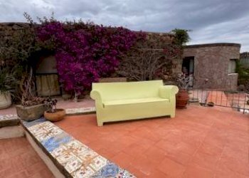 Giardino - Villa Pantelleria - foto 8