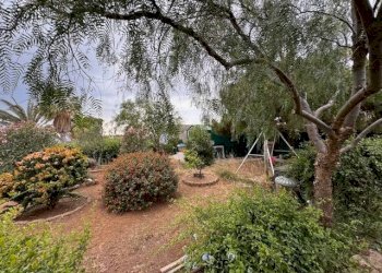 Giardino - Villa Pantelleria - foto 13