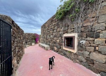 Giardino - Villa Pantelleria - foto 16