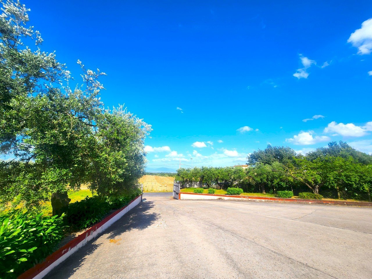 DILEOIMMOBILIARE VENDE CAPANNONE CON PIAZZALE A RO - Capannone Roma - foto 2