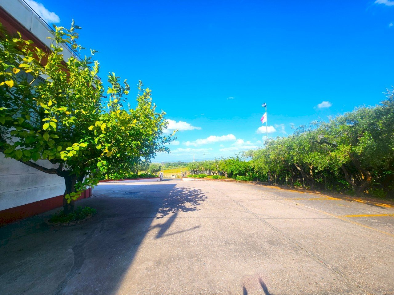 DILEOIMMOBILIARE VENDE CAPANNONE CON PIAZZALE A RO - Capannone Roma - foto 3