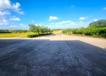 DILEOIMMOBILIARE VENDE CAPANNONE CON PIAZZALE A RO - Capannone Roma - foto 1