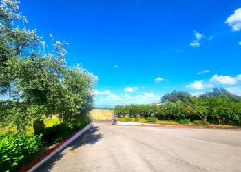 DILEOIMMOBILIARE VENDE CAPANNONE CON PIAZZALE A RO - Capannone Roma - foto 2