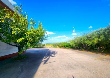 DILEOIMMOBILIARE VENDE CAPANNONE CON PIAZZALE A RO - Capannone Roma - foto 3