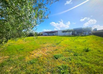 DILEOIMMOBILIARE VENDE CAPANNONE CON PIAZZALE A RO - Capannone Roma - foto 4