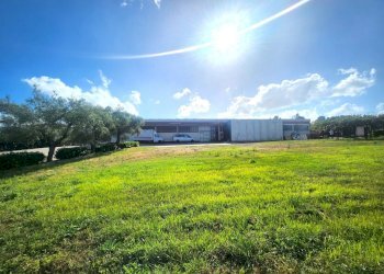 DILEOIMMOBILIARE VENDE CAPANNONE CON PIAZZALE A RO - Capannone Roma - foto 5