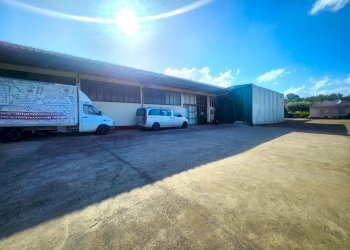 DILEOIMMOBILIARE VENDE CAPANNONE CON PIAZZALE A RO - Capannone Roma - foto 7