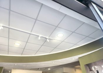 DILEOIMMOBILIARE VENDE CAPANNONE CON PIAZZALE A RO - Capannone Roma - foto 10