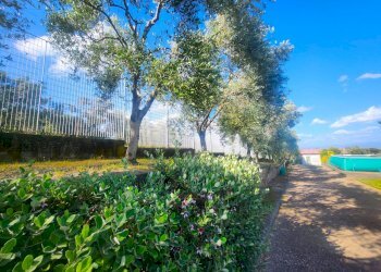 DILEOIMMOBILIARE VENDE CAPANNONE CON PIAZZALE A RO - Capannone Roma - foto 12