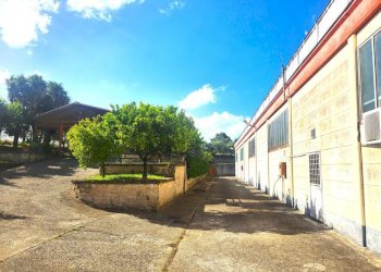 DILEOIMMOBILIARE VENDE CAPANNONE CON PIAZZALE A RO - Capannone Roma - foto 15