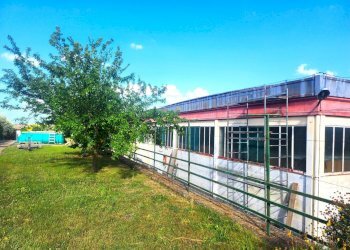 DILEOIMMOBILIARE VENDE CAPANNONE CON PIAZZALE A RO - Capannone Roma - foto 17