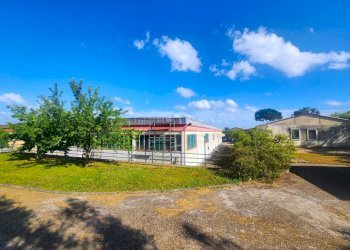 DILEOIMMOBILIARE VENDE CAPANNONE CON PIAZZALE A RO - Capannone Roma - foto 18