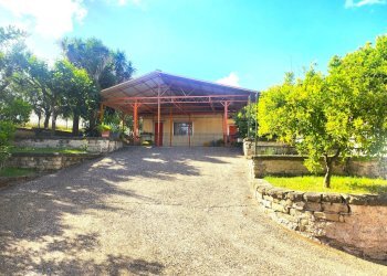 DILEOIMMOBILIARE VENDE CAPANNONE CON PIAZZALE A RO - Capannone Roma - foto 20