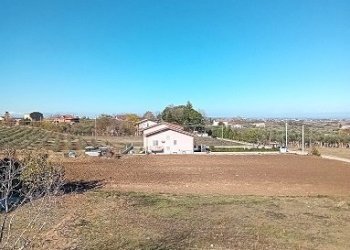 20231129_115130.jpg - Appartamento Orsogna - foto 17