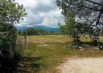 20240523_125242.jpg - Appartamento Orsogna - foto 19