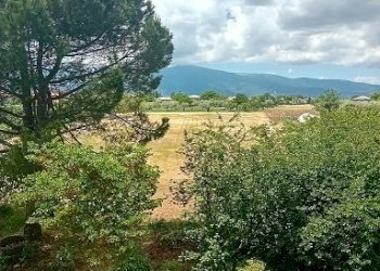 20240523_123953.jpg - Appartamento Orsogna - foto 20