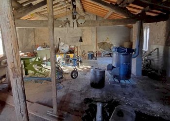 WhatsApp Image 2024-01-09 at 18.05.26 (1).jpeg - Casale Terenzo - foto 2