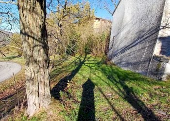 WhatsApp Image 2024-01-09 at 18.05.26 (5).jpeg - Casale Terenzo - foto 5