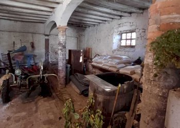 WhatsApp Image 2024-01-09 at 18.05.06 (1).jpeg - Casale Terenzo - foto 6