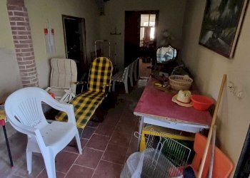 WhatsApp Image 2024-01-09 at 18.05.10 (3).jpeg - Casale Terenzo - foto 10