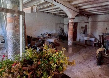 WhatsApp Image 2024-01-09 at 18.05.12.jpeg - Casale Terenzo - foto 13