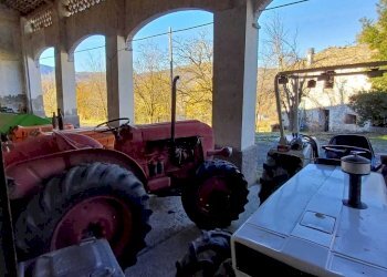 WhatsApp Image 2024-01-09 at 18.05.13 (1).jpeg - Casale Terenzo - foto 14