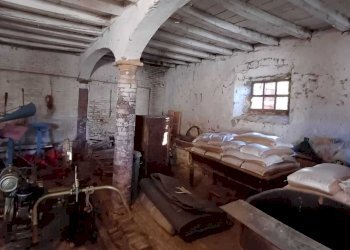 WhatsApp Image 2024-01-09 at 18.05.14 (4).jpeg - Casale Terenzo - foto 19