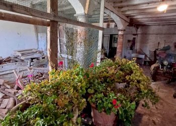 WhatsApp Image 2024-01-09 at 18.05.19 (1).jpeg - Casale Terenzo - foto 20