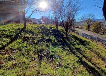 WhatsApp Image 2024-01-09 at 18.05.10 (1).jpeg - Casale Terenzo - foto 26