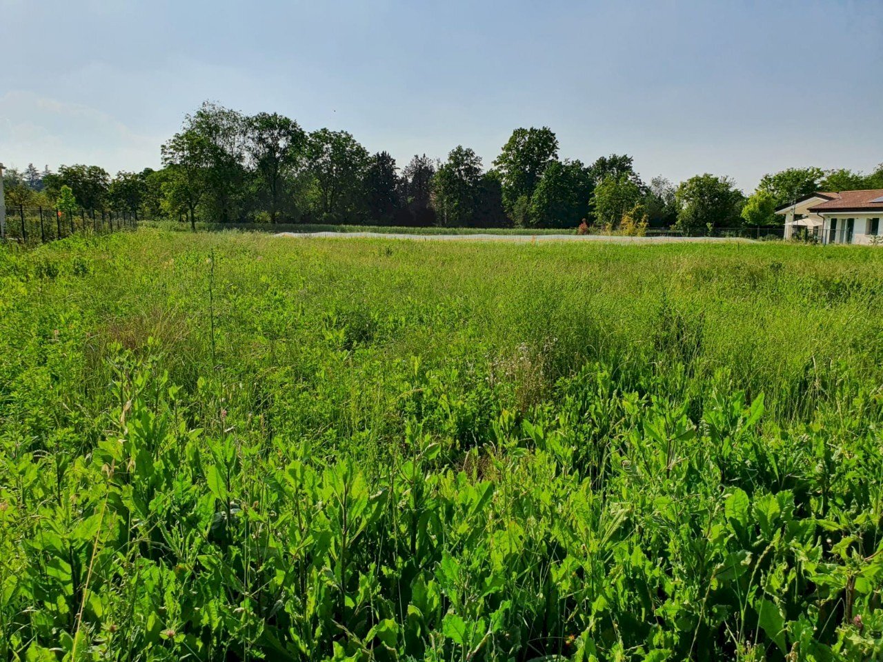 Terreno edificabile Reggio nell'Emilia - foto 1
