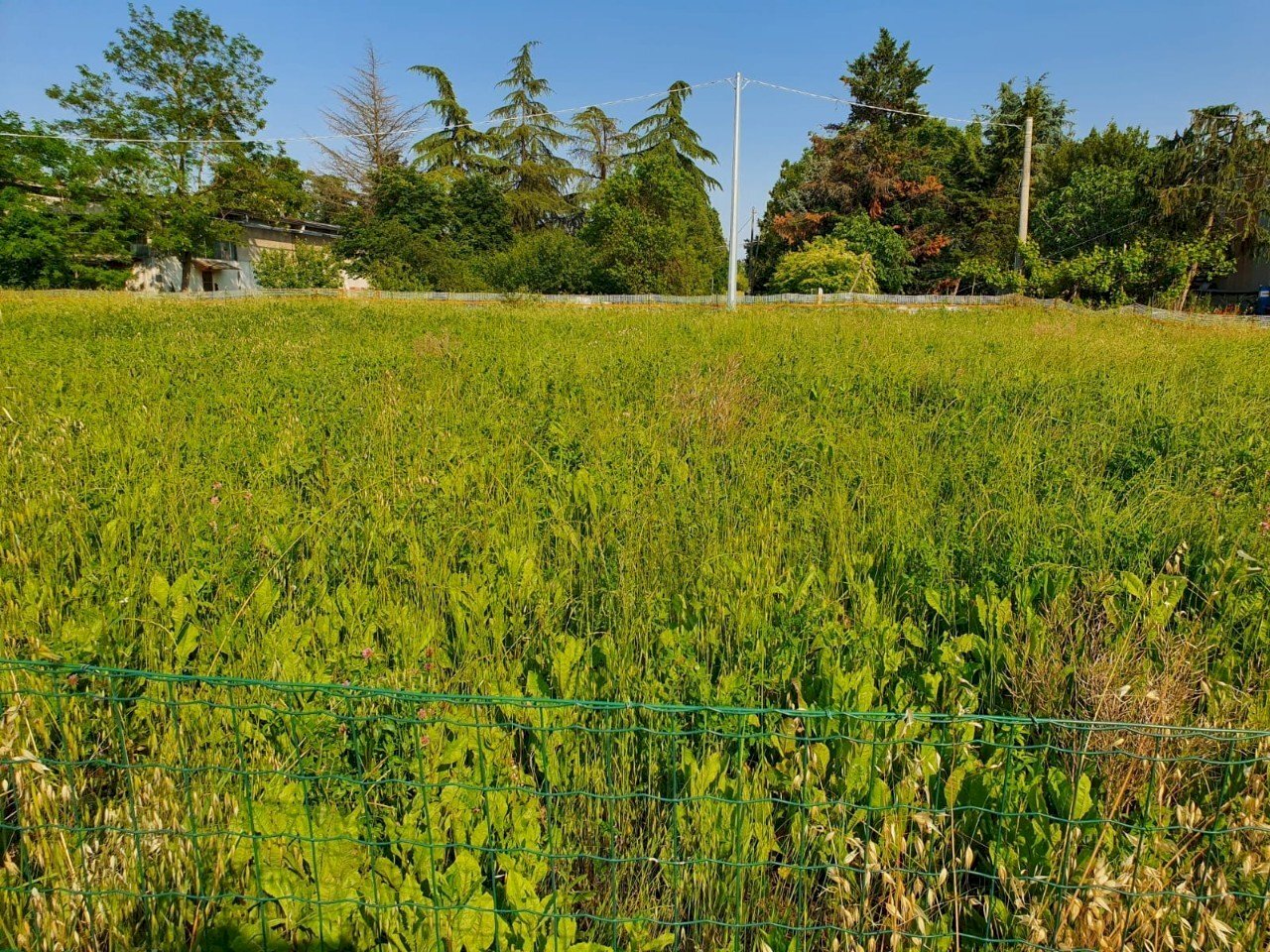 Terreno edificabile Reggio nell'Emilia - foto 2
