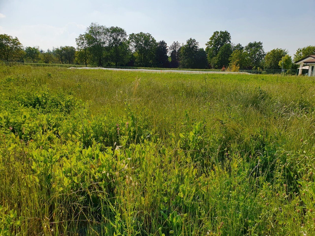 Terreno edificabile Reggio nell'Emilia - foto 3
