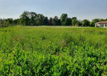Terreno edificabile Reggio nell'Emilia - foto 1