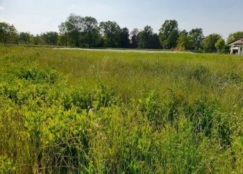 Terreno edificabile Reggio nell'Emilia - foto 3