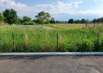 Terreno edificabile Reggio nell'Emilia - foto 4