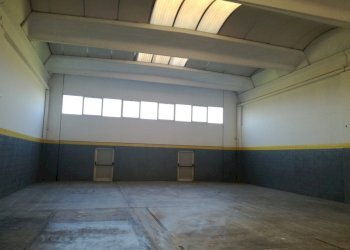 Capannone Reggio nell'Emilia - foto 4