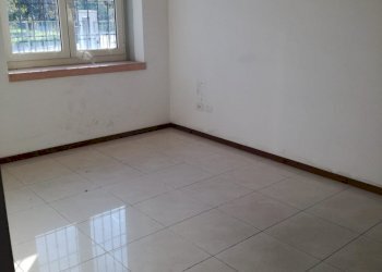 Capannone Reggio nell'Emilia - foto 9