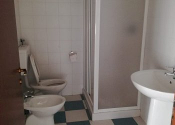 Capannone Reggio nell'Emilia - foto 10