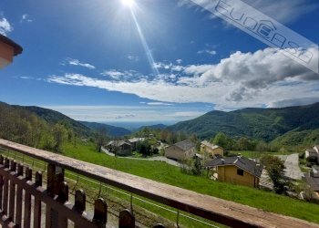 Attività Commerciale Borgata Bocchiardoni 37, Pramollo - foto 51