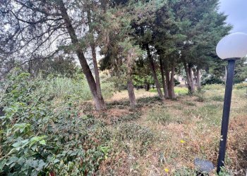 Terreno edificabile grotticelle, Siracusa - foto 3