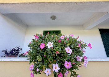 IMG_6625.JPG - Porzione di casa Massa - foto 6